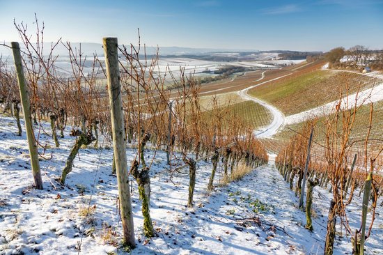 Winter im HeilbronnerLand | © anzock photographY