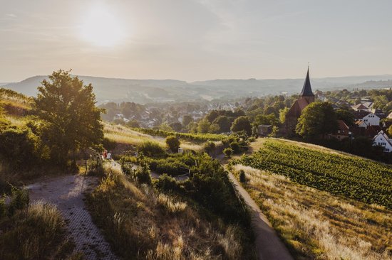 Ausblick auf Weinsberg von der Big Bench