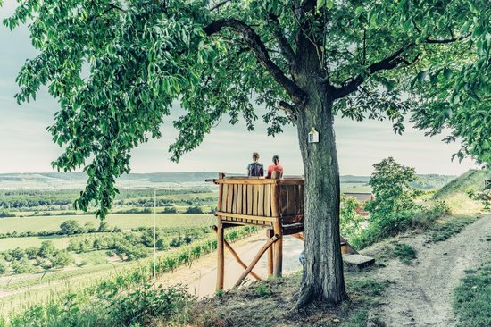 Blick von einer Aussichtskanzel über die hügelige Weinlandschaft