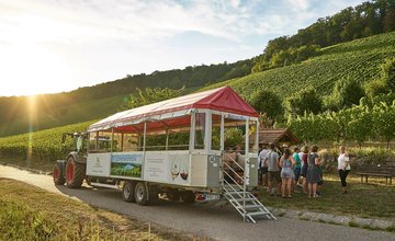 Fahrende Weinproben & Weinbergrundfahrten | Planwagentouren HeilbronnerLand