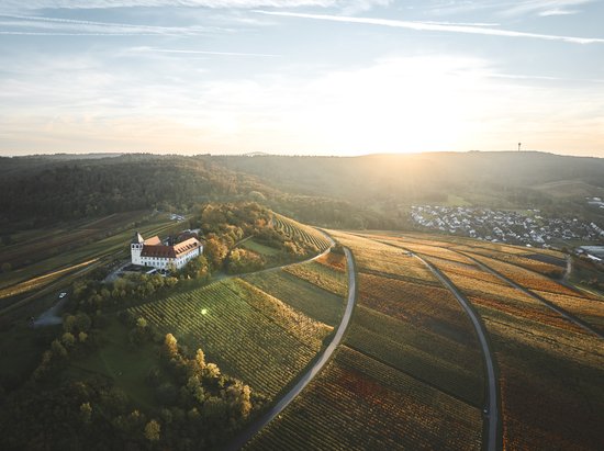 Michaelsberg Cleebronn | Schönste Weinsicht Württemberg 2020 | HeilbronnerLand