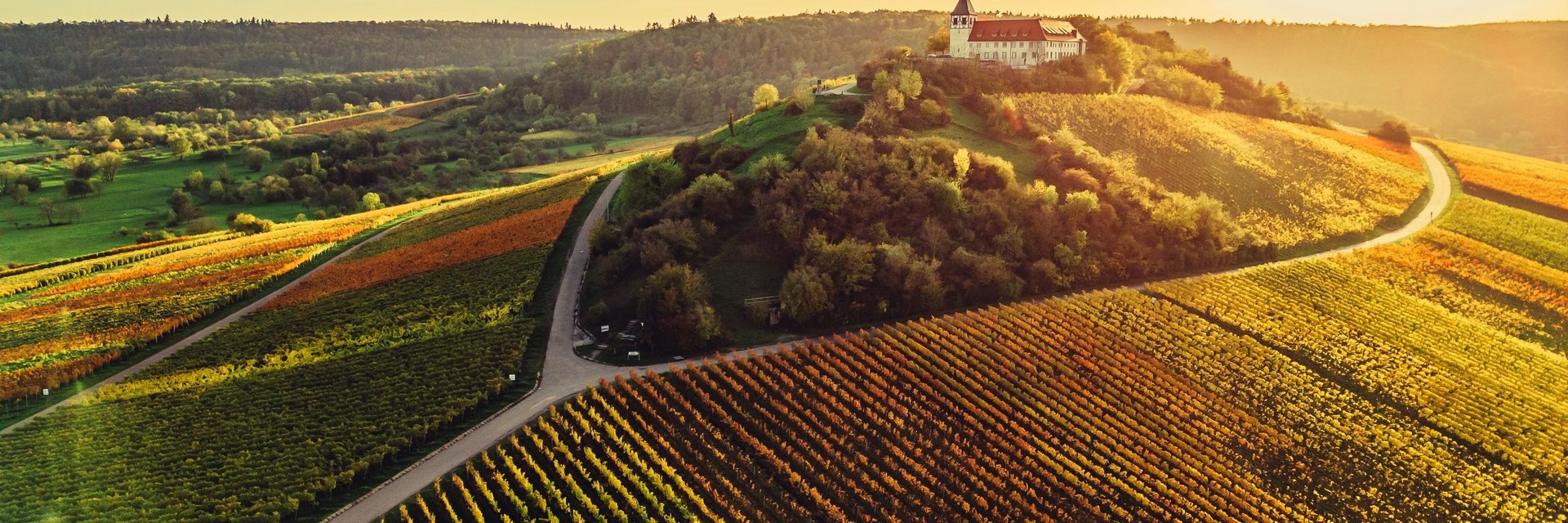 HeilbronnerLand ist Württemberger Weinland - unterwegs am Württemberger Weinradweg