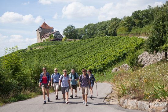 Kulinarische Weinerlebnisse auf Burg Wildeck "by feinherb"