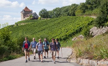 WeinWandern im HeilbronnerLand - unterwegs im Weinsüden | Weinwege Württemberg
