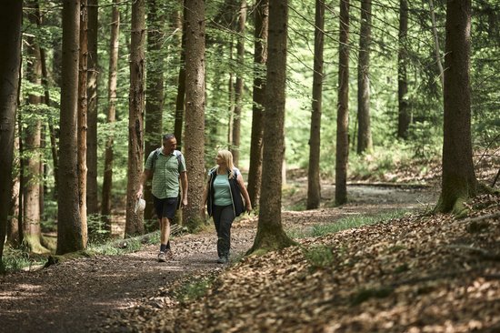 Wellingtonieplatz in Wüstenrot, Naturpark Schwäbisch-Fränkischer Wald