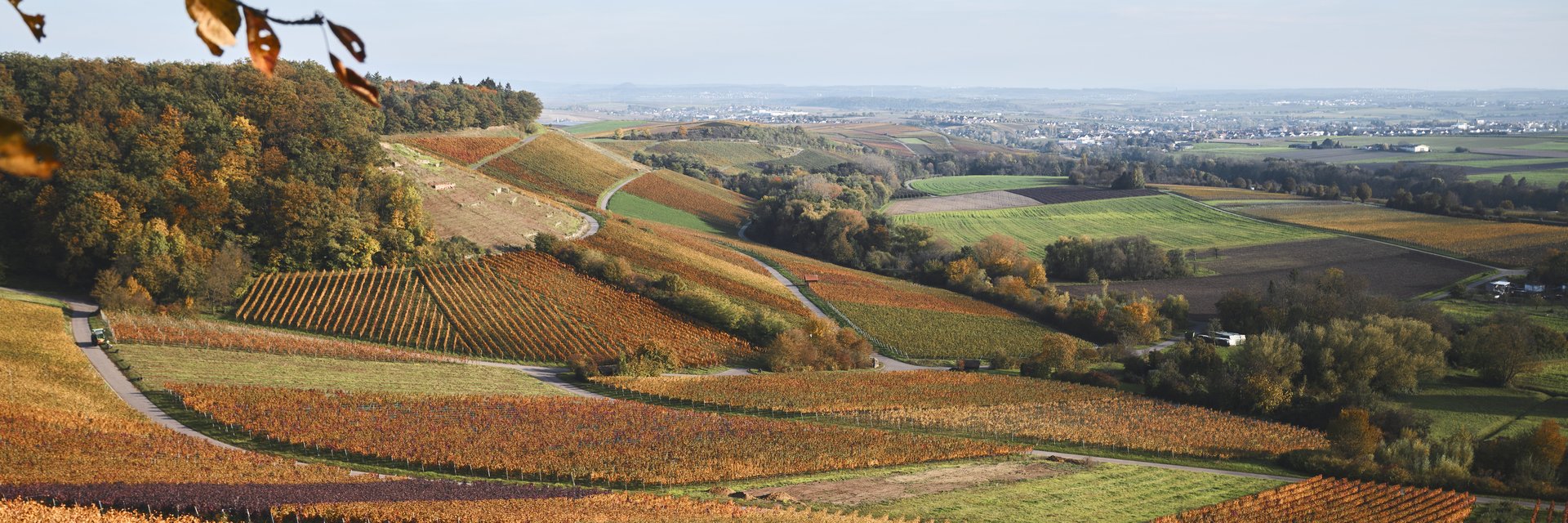 Aussichtspunkt_Zweifelberg_Weinlandschaft_Herbst