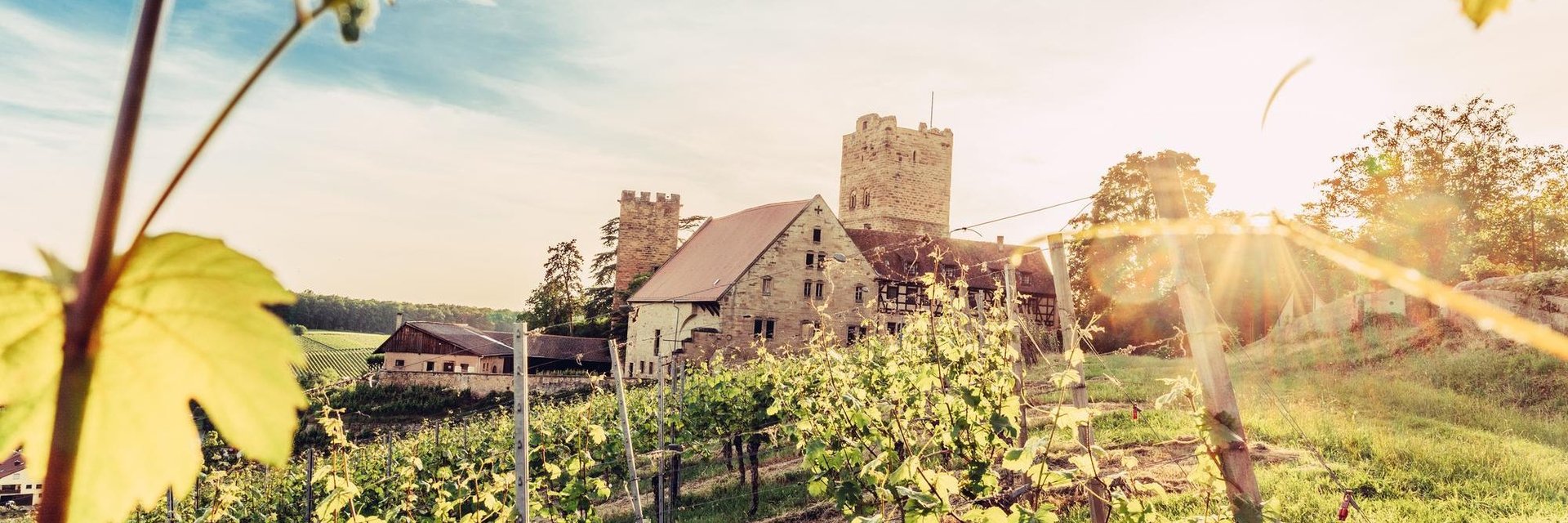 Burg Neipperg, Brackenheim | Chris Frumolt, TG HeilbronnerLand