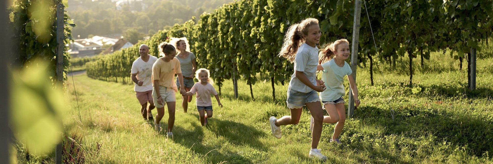 Mehrere Kinder und Erwachsene laufen fröhlich durch einen Weinberg an einem sonnigen Tag