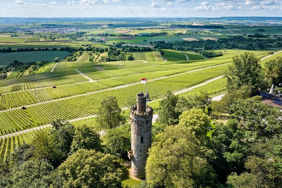 Aussichtsturm Heuchelberger Warte mit Blick über die Weinlandschaft