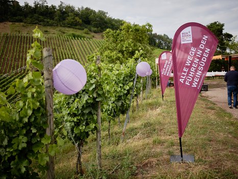 Weinsüden Pop-Up - das junge Weinevent in den Weinbergen
