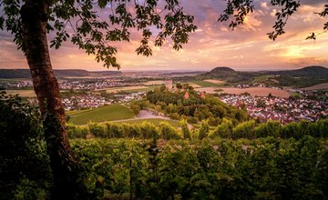 Ausblick vom Fohlenberg auf das Schozachtal mit Burg Hohenbeilstein | Beilstein