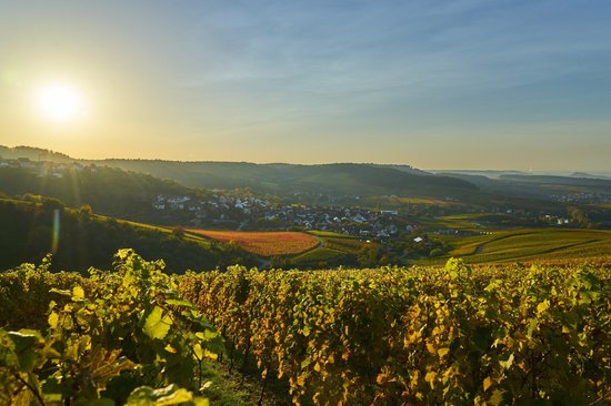 Weinsberger Tal - das Weintal in der Weinheimat Württemberg