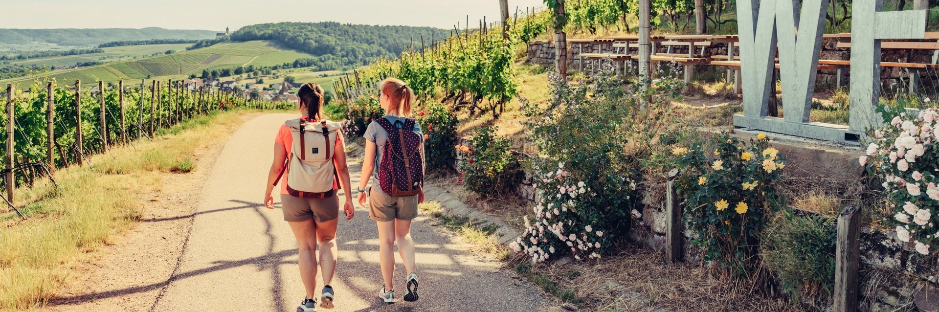 Wandern im Weinsüden Baden-Württemberg | WeinWandern HeilbronnerLand