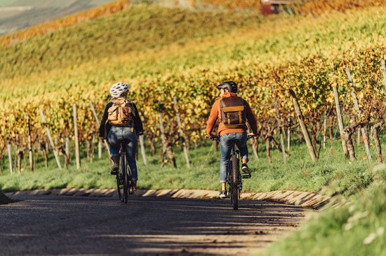 Radfahren durch die Weinberge