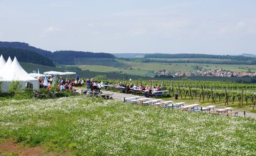 Wein über Berg & Tal | WeinWanderEvent Weinsberger Tal | HeilbronnerLand