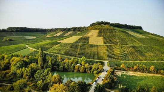 Mönchsbergsee Brackenheim-Dürrenzimmern mit Weinausschank vom Weinkonvent Dürrenzimmern