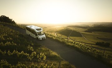 Wohnmobil fährt auf schmaler Straße durch hügelige Weinberge bei Sonnenuntergang