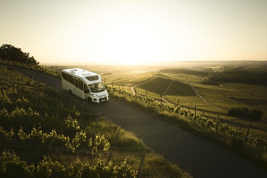 Wohnmobil fährt auf schmaler Straße durch hügelige Weinberge bei Sonnenuntergang