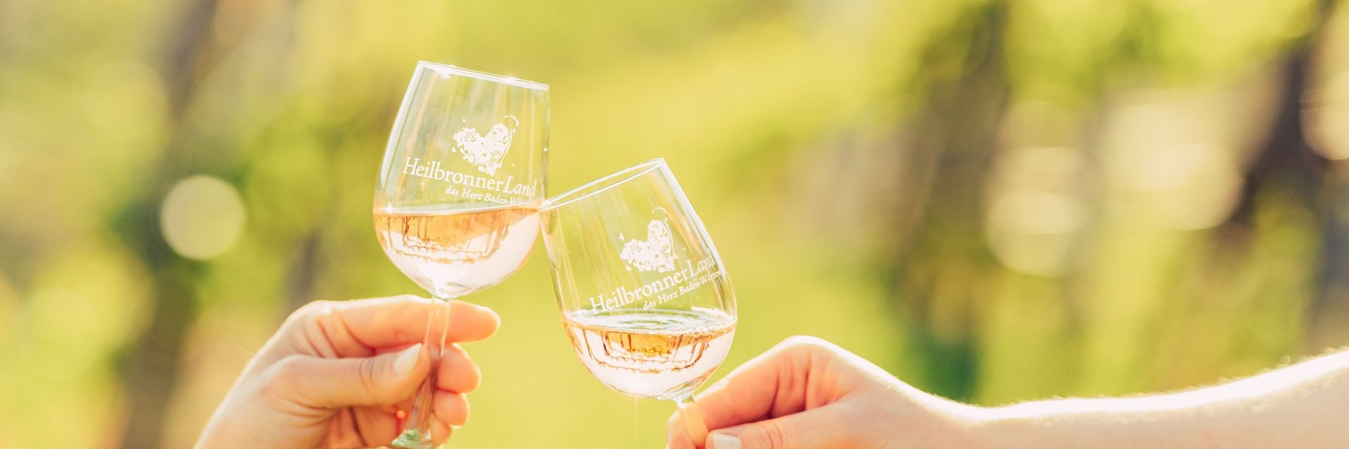 Weingläser | Weinregion HeilbronnerLand | Weinheimat Württemberg