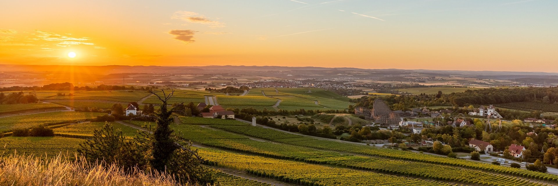 Weinregion Zabergäu | Weinsüden | HeilbronnerLand