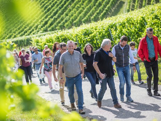 Weinwanderung im HeilbronnerLand | © Gütegemeinschaft Buskomfort - Thomas Wagner