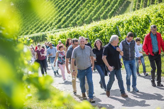 Weinwanderung im HeilbronnerLand | © Gütegemeinschaft Buskomfort - Thomas Wagner