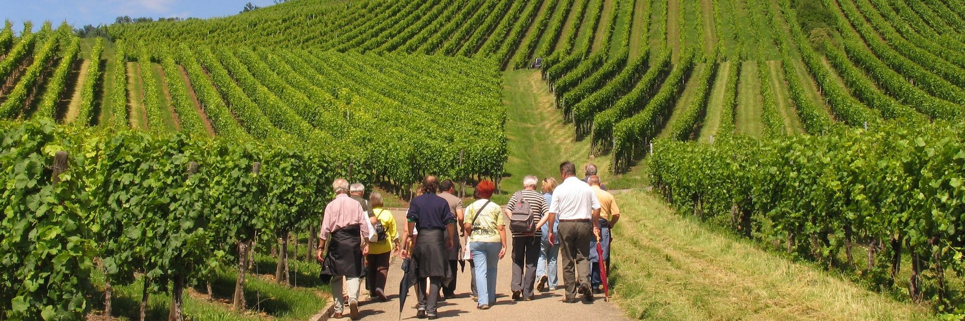 Wein.Wandern.Genuss - WeinWanderEvent in der Weinleselandschaft Marbach-Bottwartal