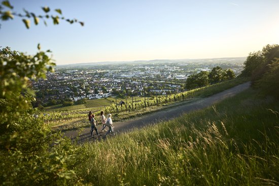 Spaziergang am Wein-Panorama-Weg in Heilbronn