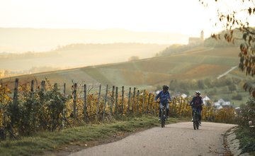 Zwei Radfahrer auf einem Weg entlang von Weinreben mit sanften Hügeln und einem Dorf im Hintergrund
