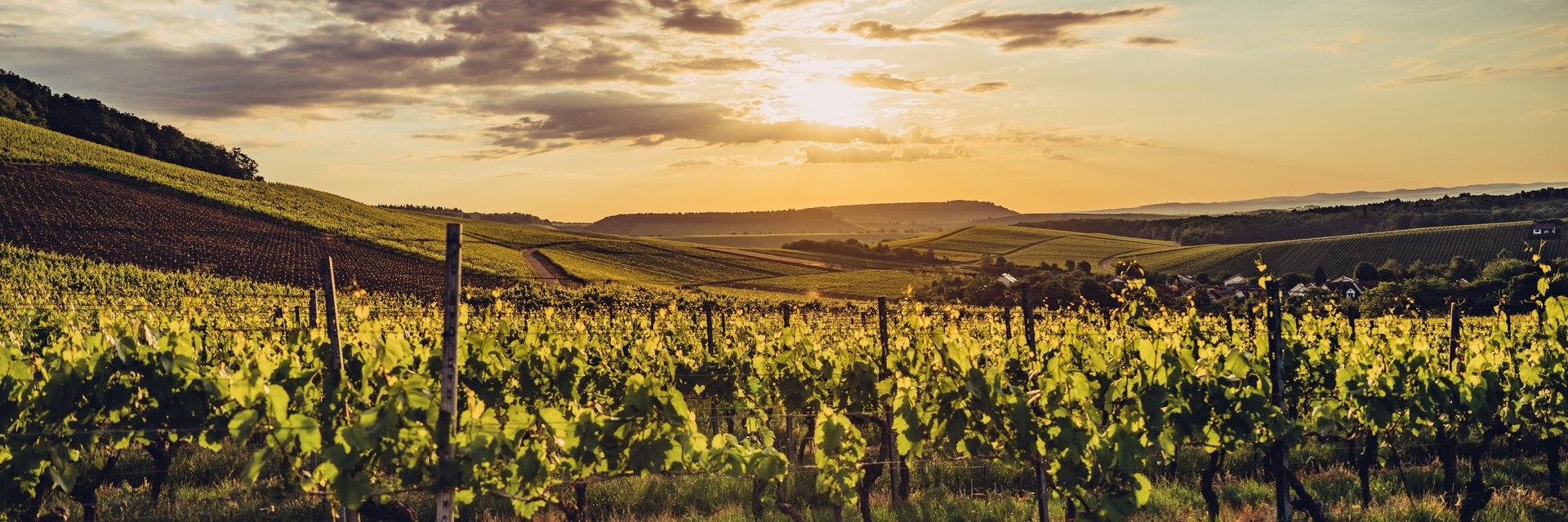 Weinlandschaft im Zabergäu | © Chris Frumolt