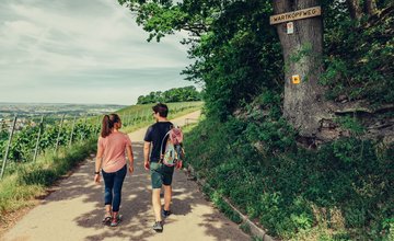WeinWandern HeilbronnerLand | Unterwegs am Württembergischen Weinwanderweg