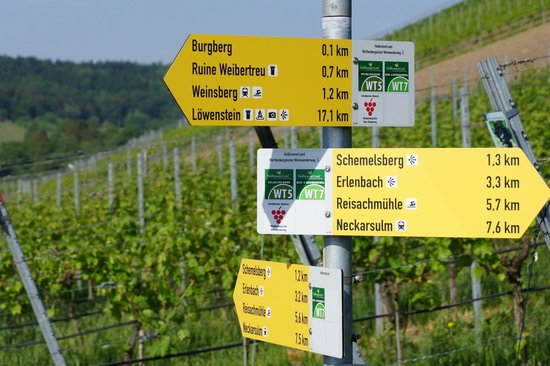 Wanderwegebeschilderung HeilbronnerLand | Hauptwegweiser mit Routenplaketten